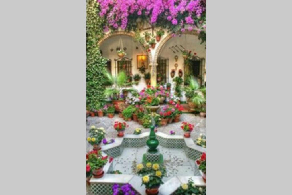 Corredera House. Pleno Centro De Cordoba公寓 外观 照片